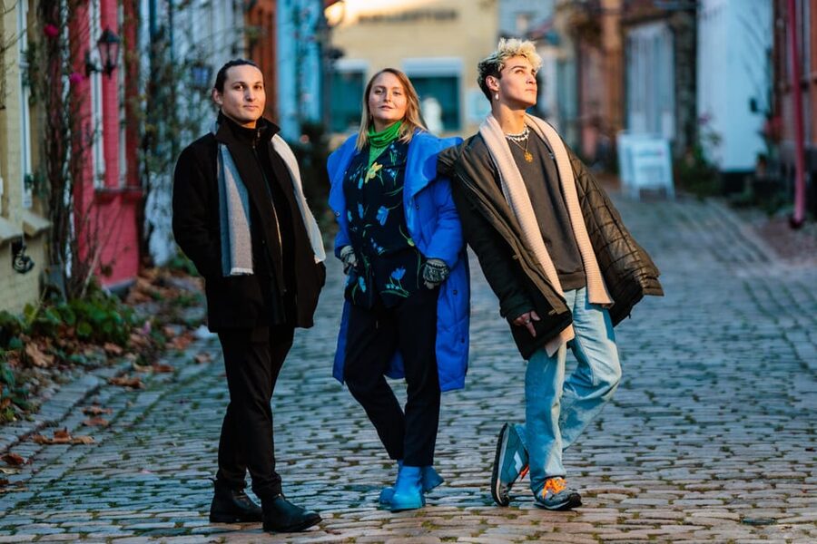 Aarhus Walking Tour: From Viking Village to Metropolis - What the $31 price really buys you