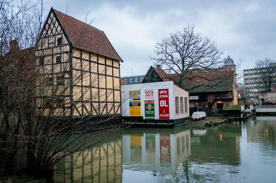 Aarhus Walking Tour: From Viking Village to Metropolis - Ancient streets, local stories, and the human side of Aarhus