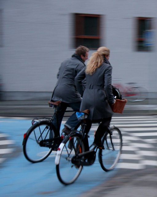 Best of Copenhagen Biking Tour-3 Hours, Small Group max 10 - The Little Mermaid and the value of seeing the classic sights