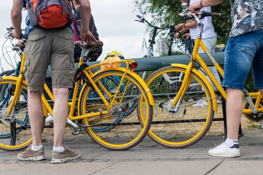 Copenhagen: 3 Hours Private Bike Tour with a local Guide - Starting at Vester Voldgade and Rådhuspladsen
