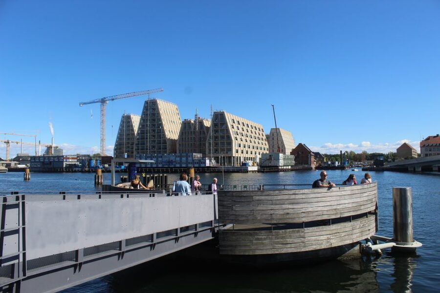 Copenhagen: Harbor Architecture Private Walking Tour - Nyhavn: colorful houses and a working-port past