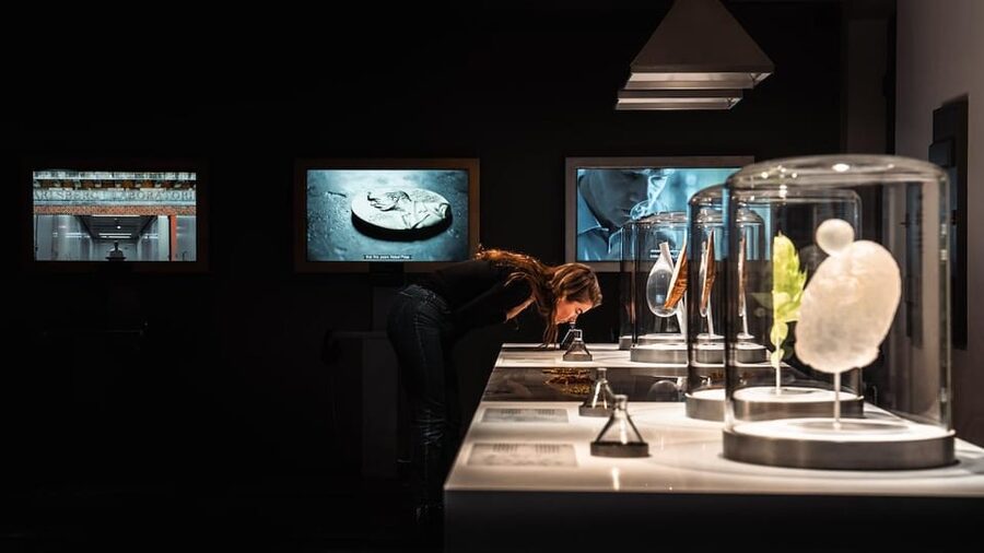 Copenhagen: Home of Carlsberg Experience Entry Ticket - Cellars, tasting options, and the beer at the end