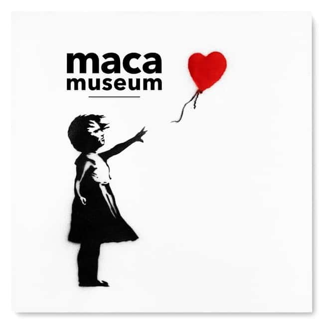 Copenhagen: MACA Art Museum Entry Ticket - Nyhavn makes this more than a museum stop