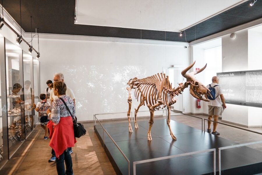 Copenhagen: National Museum of Denmark Entry Ticket - Why the National Museum belongs on your Copenhagen list