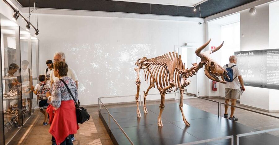 Copenhagen: National Museum of Denmark Entry Ticket - Give the Viking galleries your best time