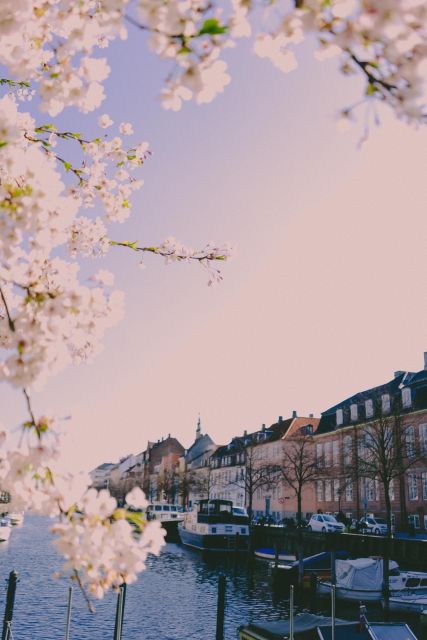 Copenhagen Private 3h biking tour - The Little Mermaid and Copenhagen’s best-known view