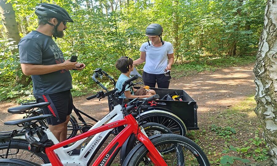 Copenhagen: Private Forgotten Giants E-Bike Treasure Hunt - Albertslund and the return through Zealand