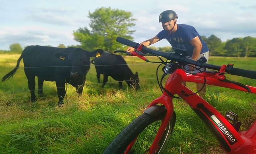Copenhagen: Private Forgotten Giants E-Bike Treasure Hunt - How demanding is the ride?