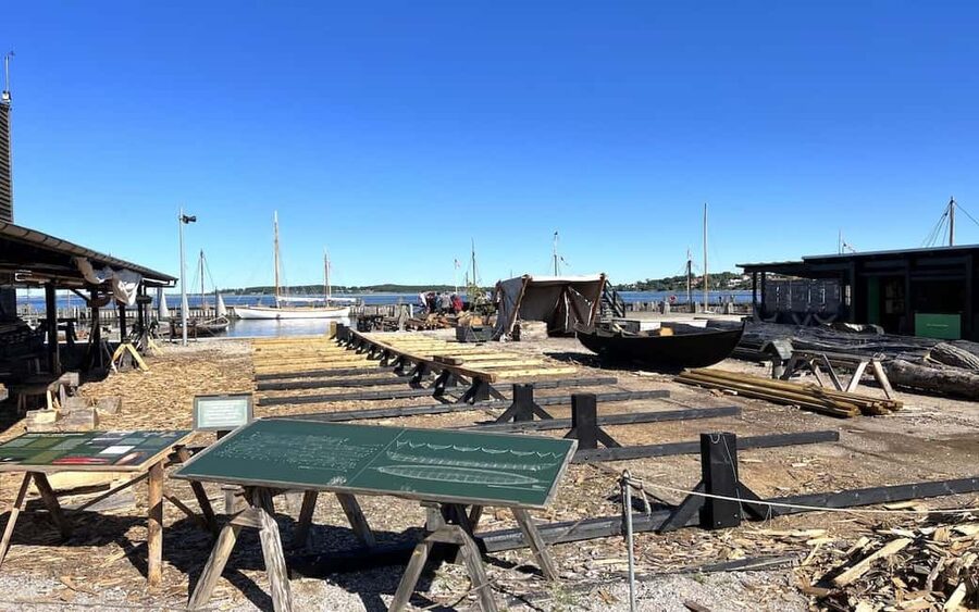 Copenhagen: Roskilde, the Viking City Tour in English - Key points to know before booking