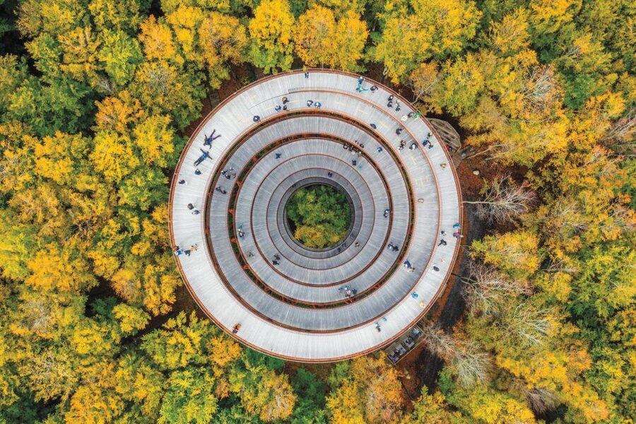 Copenhagen: The Forest Tower & Forgotten Giants Trolls Trip - Is $135 a fair price?
