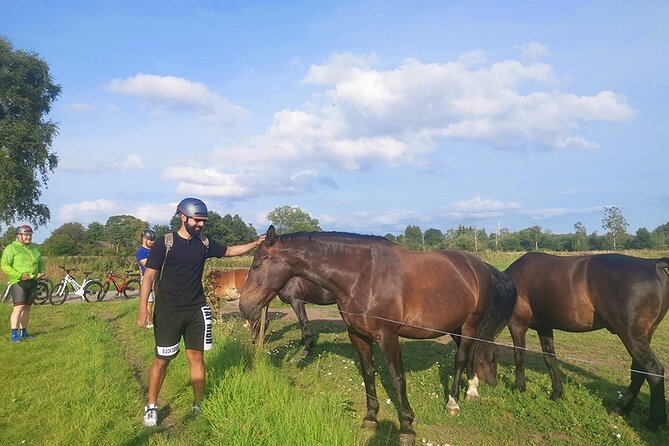 E-biking Central Forgotten Giants' s Adventure - The countryside is the real change of pace