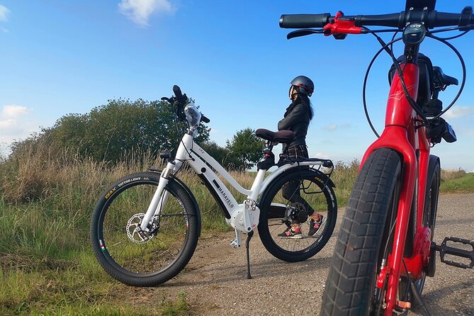 E-biking Northern Forgotten Giants' s Adventure - Four giants beyond central Copenhagen