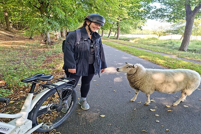 E-biking Northern Forgotten Giants' s Adventure - Thomas on the Mountain and the best views