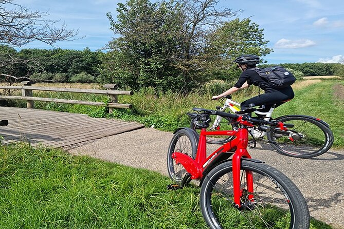 E-biking Northern Forgotten Giants' s Adventure - Teddy Friendly and the final sculpture search