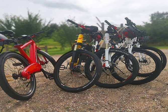 E-biking Northern Forgotten Giants' s Adventure - Is $209 a fair price?