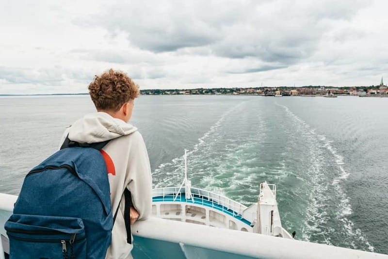 From Copenhagen: Lund and Malmö 2-Country Tour - Key points to know before booking