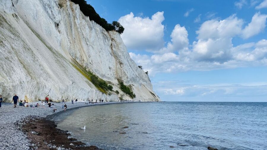 From Copenhagen: Round-Trip to Møns Klint and Forest Tower - Møns Klint and its 70-million-year-old cliffs