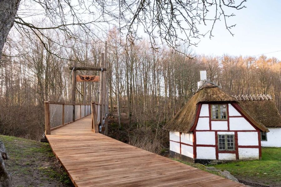 From Copenhagen: Round-Trip to Møns Klint and Forest Tower - Should you book the Forest Tower and Møns Klint tour?