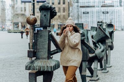 Malmö Full Day Private Trip, Sightseeing Tour & Lunch Option
