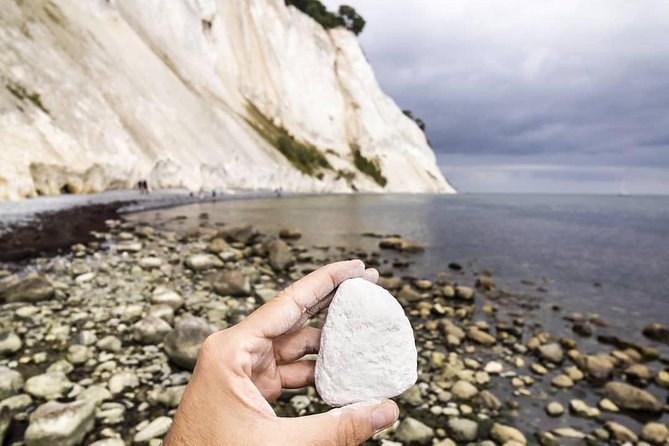 Møns klint and The Forest tower - A day tour from Copenhagen - What the guide adds to a mostly independent day