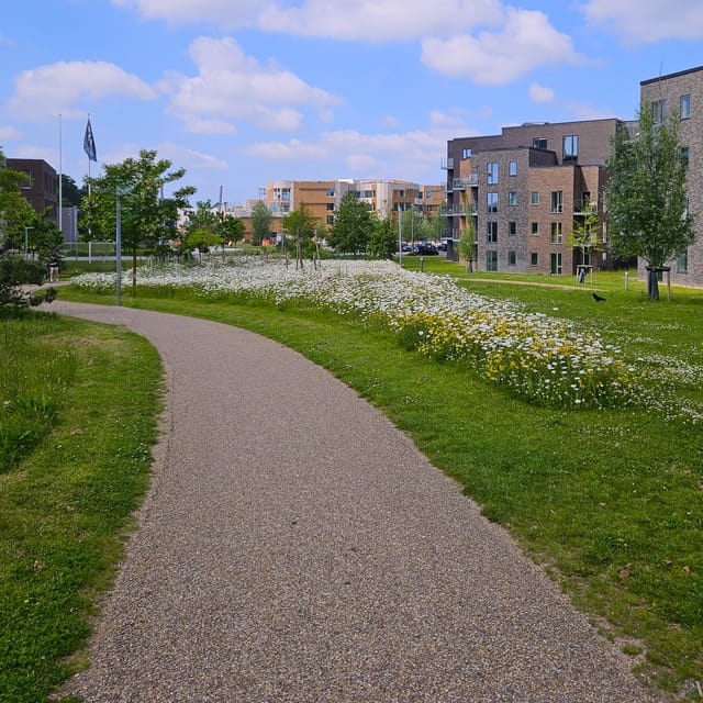 Odense: City walk - The new green Odense - City development - H.C. Andersen Haven and the route back