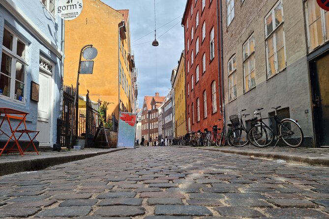 Private E-Biking Copenhagen History and Nature Adventures - The $170 price and what you receive