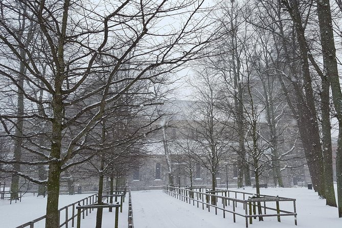 Private tour Copenhagen to Lund & Malmö City daytrip - Price, group size, and what you receive