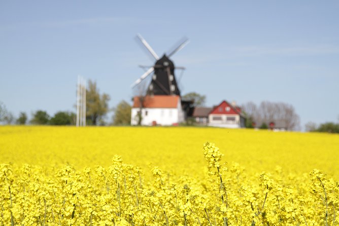 Private tour Copenhagen to Lund & Malmö City daytrip - Practical details that can affect your day