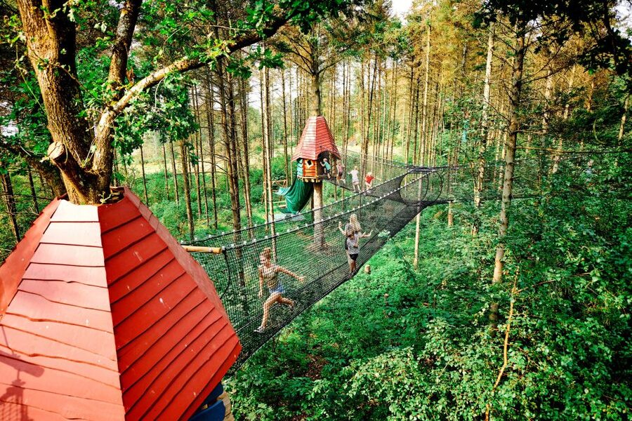 Skjern: WOW PARK Entry Ticket - A forest playground with no fixed route