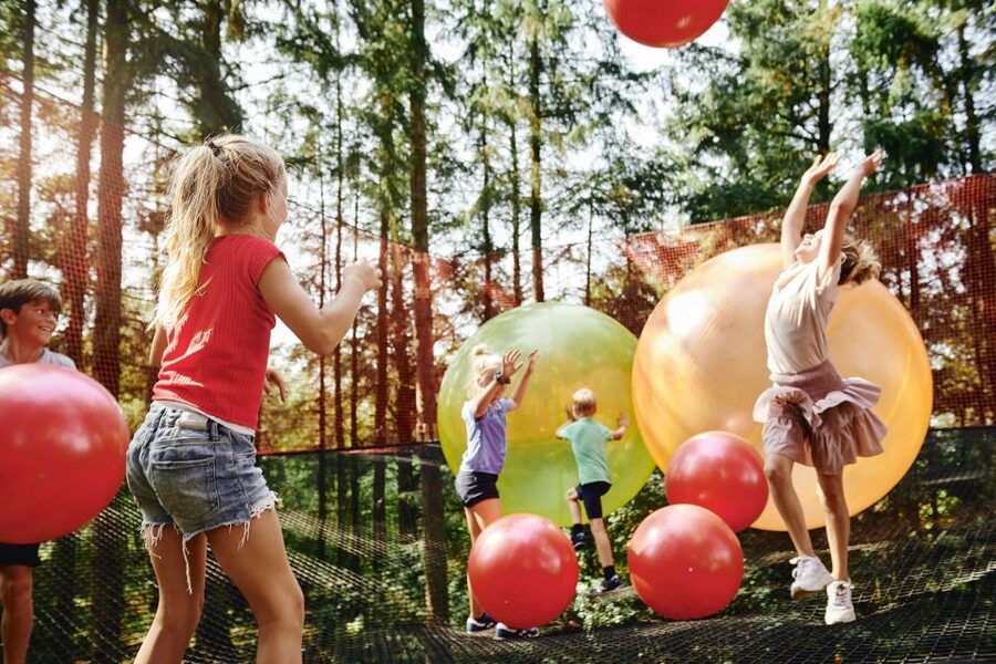 Skjern: WOW PARK Entry Ticket - Ziplines, bridges, and slides in the tree canopy