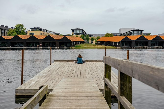 The Beauty of Copenhagen by Bike: Private Tour - Price, timing, and practical value
