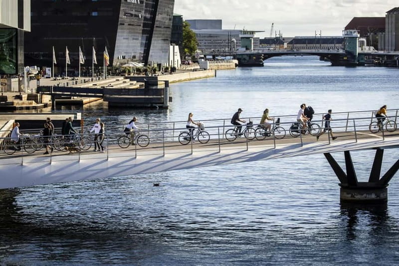 Urban Design and Livability E-bike Tour - Group size, guide pace, and the main practical concern
